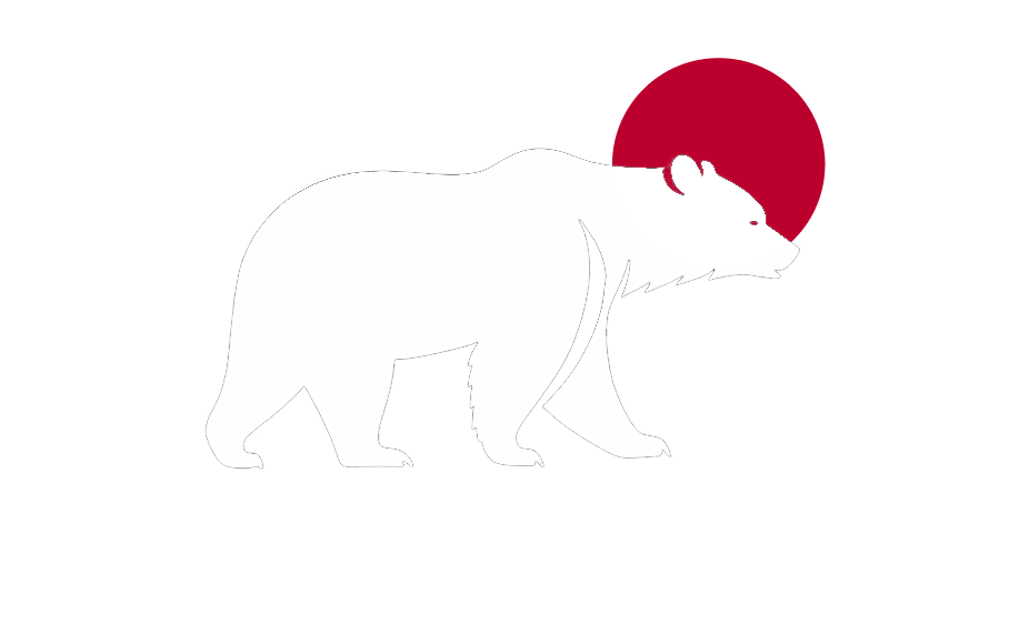 Bear Systems Logo